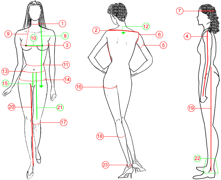 measurements-guide.gif