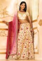 BW48 Light Gold & Pink Lehenga