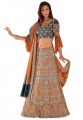 BW51 Navy Blue & Beige Lehenga