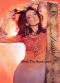 CW211 Orange & Grayish Causal Wear