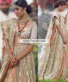 BW6868 Light Ecru Light Burnt Sienna Crinkle Chiffon Banarasi Jamawar Lehenga